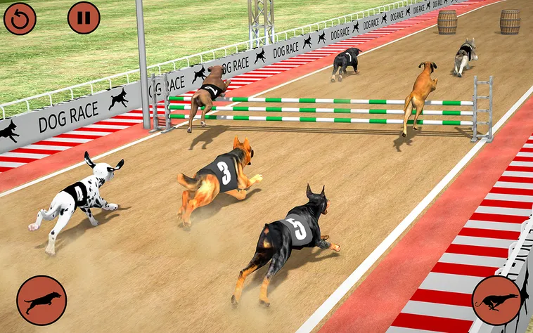 Cách Chơi Game Nhanh Đua Chó Tại 33Win Hiệu Quả 2 Cách Chơi Game Nhanh Đua Chó Tại 33Win Hiệu Quả