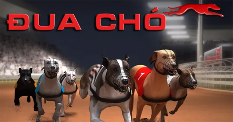 Cách Chơi Game Nhanh Đua Chó Tại 33Win Hiệu Quả 1 Cách Chơi Game Nhanh Đua Chó Tại 33Win Hiệu Quả