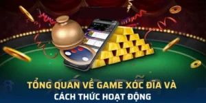 Trò Chơi Xóc Đĩa Tại 33win Với Tỷ Lệ Trả Thưởng Siêu Cao 8 Trò Chơi Xóc Đĩa Tại 33win Với Tỷ Lệ Trả Thưởng Siêu Cao